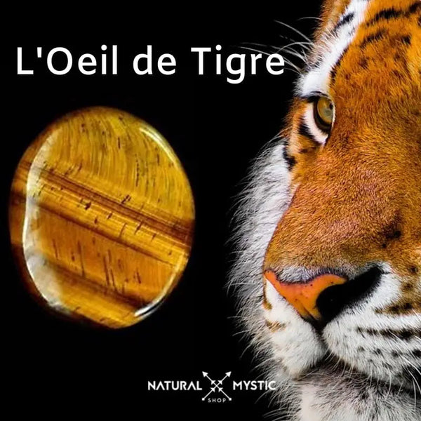 Apprenez à utiliser l’incroyable pouvoir de l’Œil de Tigre: Signification, propriétés et vertus