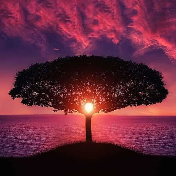 Qu’est ce que l’Arbre de Vie ? Que représente-t-il ?