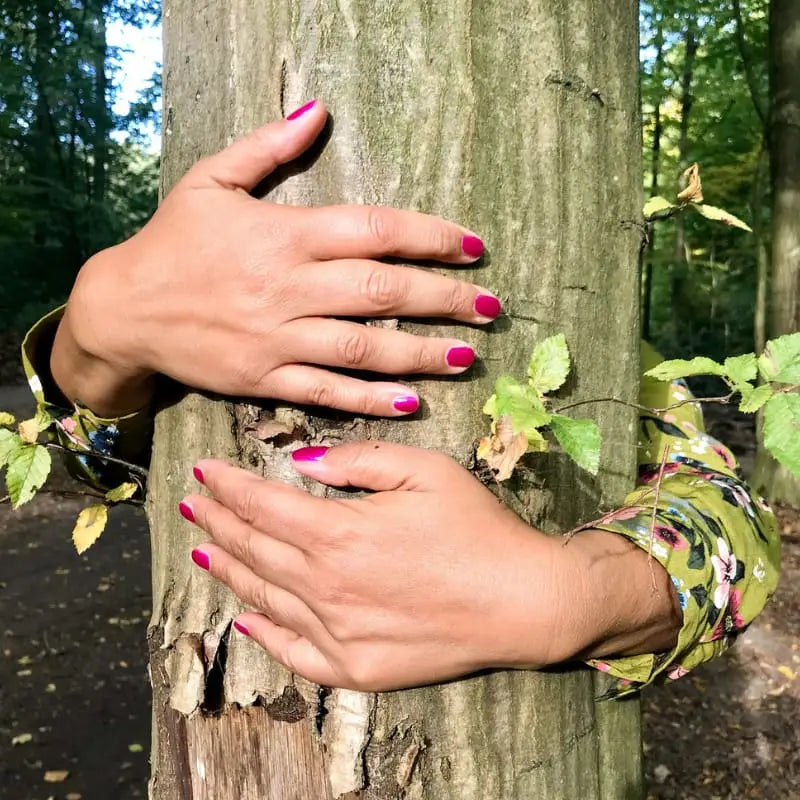 Câliner les arbres : les bienfaits de la Sylvothérapie