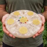 PLATEAU DE RECHARGEMENT ORGONE SÉLÉNITE