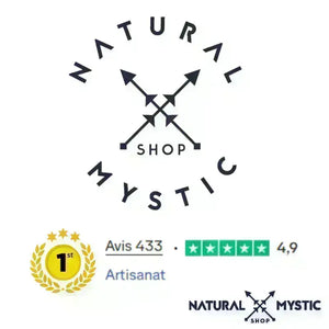 Collier Pendentif Orgone ORIGINES Ammonite pendentif orgonite