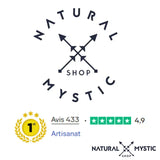 Collier Pendentif Orgone ORIGINES Ammonite pendentif orgonite