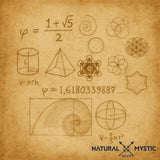 Collier Pendentif Orgone ORIGINES Ammonite pendentif orgonite