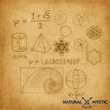 Collier Pendentif Orgone ORIGINES Ammonite pendentif orgonite