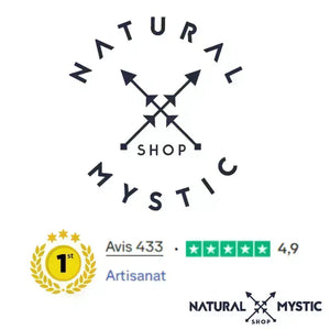 PLATEAU DE RECHARGEMENT ORGONE TOURMALINE NOIRE plateau orgonite