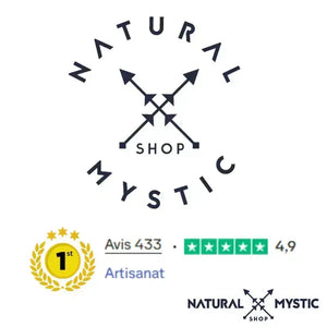 PLATEAU DE RECHARGEMENT ORGONE TOURMALINE NOIRE plateau orgonite