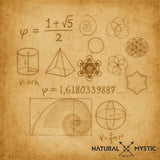 Collier Pendentif Orgone ORIGINES Ammonite pendentif orgonite