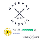 Collier Pendentif Orgone ORIGINES Ammonite pendentif orgonite