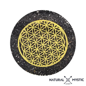 Les Imparfaites à prix minis