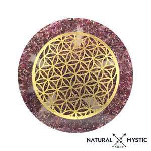 Les Imparfaites à prix minis