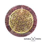 Les Imparfaites à prix minis