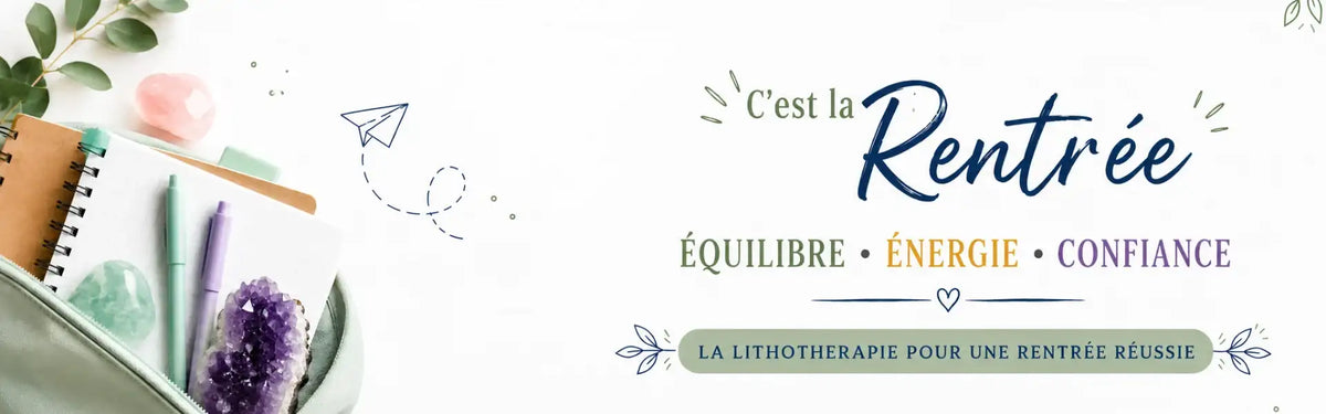 Une pochette en tissu vert clair avec une fermeture éclair, contenant des cahiers et des stylos.